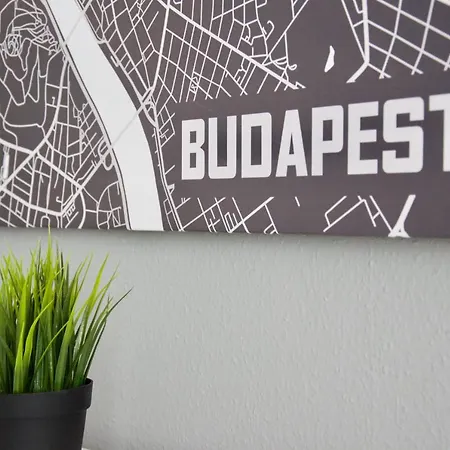 Standard By Hi5 - Asboth 15