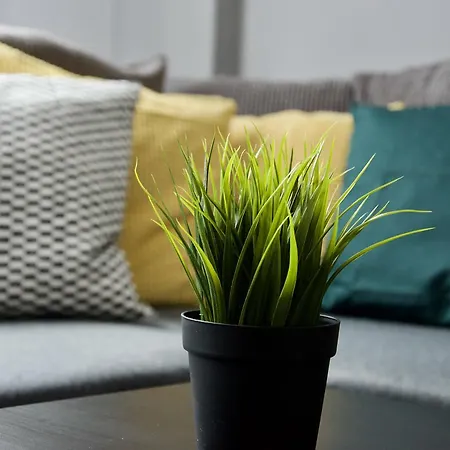 Standard By Hi5 - Asboth 15 Appartement *